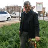 Il nostro viaggio parte dall�ultimo tratto di viale Japigia. In questo punto possiamo gi� notare il primo esempio di �campagna in citt��: un orticello che in mezzo a uffici, concessionarie e stazioni di servizio continua a essere coltivato da un irriducibile contadino